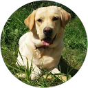 Minea M. profile picture